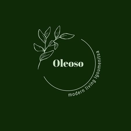 伊古迈尼察Oleoso公寓 外观 照片